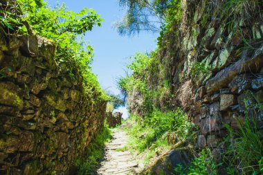 Tahta çitler boyunca eski bir patika