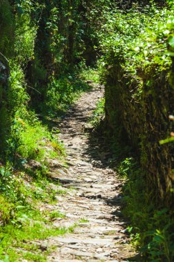 Tahta çitler boyunca eski bir patika