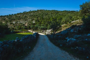 Buracas do Casmilo, a natural formation in Portugal, featuring a rocky cliffside dotted with large caves. These caves are set in a lush landscape with a dirt path winding through olive trees and green foliage. The lighting highlights the textures of  clipart