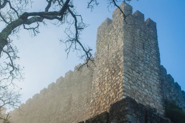 Ağaçlarla çevrili eski bir ortaçağ Portekiz kalesinde sisli bir sabah.