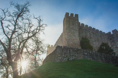Ağaçlarla çevrili eski bir ortaçağ Portekiz kalesinde sisli bir sabah.