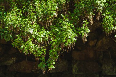 Portekiz 'in bir şehrinde modern bir açık hava kafe alanı. İnsanlar eğleniyor. Arka planda tarihi bir kule var., 