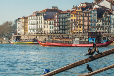 Geleneksel bir teknenin kirişlerine tünemiş iki kuş nehir kenarı manzarası ve arka planda uzak bir köprü var..