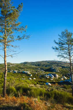 Gün batımında sakin bir dağ manzarası, geniş yuvarlak kayalar araziye saçılmış, yeşillik üzerine uzun gölgeler ve arka planda yuvarlanan tepeler