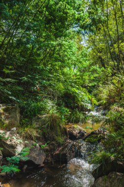 Portekiz 'in merkezinde küçük bir dağ nehrinde şelale.