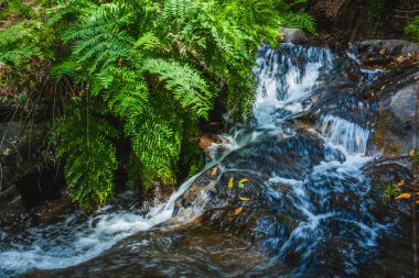 Portekiz 'in merkezinde küçük bir dağ nehrinde şelale.