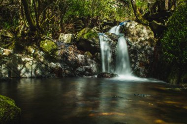 İlkbaharda Portekiz ormanında bir dere.