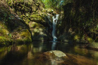 İlkbaharda Portekiz ormanında bir dere.