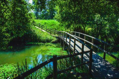 Yazın Portekiz 'de göl boyunca iki küçük ada arasındaki tahta köprü.