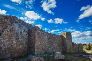 Bir kalenin ya da duvarın antik taş kalıntıları, muhtemelen tarihi ya da arkeolojik bir alanın parçası. Yıpranmış taşlar, uzun ve dayanıklı bir duvar oluşturur. Görünür yaş ve çürüme belirtileriyle.