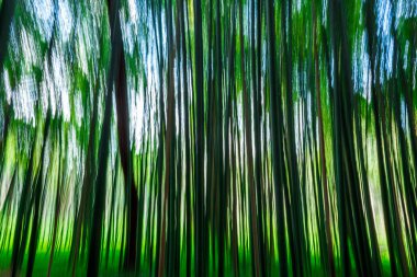 Uzamış, dikey ışık ve renk çizgileri hareket ya da hareket bulanıklığı yaratıyor. Sanki orman sallanıyor ya da zaman bozuluyor.