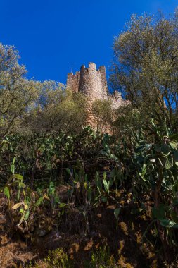 Yoğun kaktüsleri ve ağaçları olan engebeli bir yamaç antik bir kalenin taş duvarlarını çerçeveler.