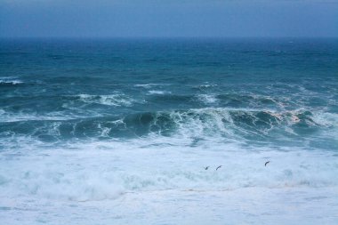 Yuvarlanan dalgalar ve beyaz köpüklerle dolu engin, güçlü bir okyanus yumuşak, sisli bir mavi gökyüzünün altında uzanır ve dinamik bir deniz manzarası yaratır.