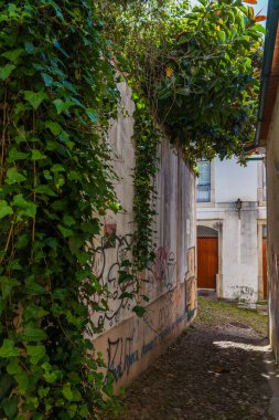 Coimbra 'nın gizli köşelerini gösteren, grafiti kaplı duvarları olan dar, aşırı gelişmiş bir sokak.