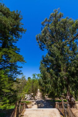 Ağaçlarla kaplı bir patika güzel bir bahçeye açılıyor, üzerinde açık mavi bir gökyüzü var.