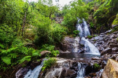 Yeşilliklerle çevrili çağlayan bir şelale. Üssünde küçük bir havuz var.
