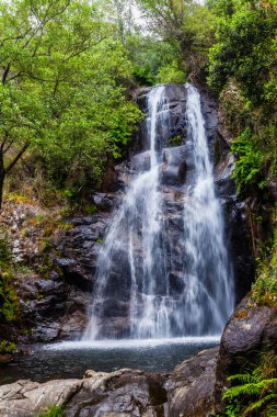 Yeşilliklerle çevrili çağlayan bir şelale. Üssünde küçük bir havuz var.