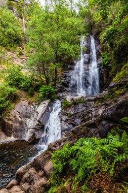 Yeşilliklerle çevrili çağlayan bir şelale. Üssünde küçük bir havuz var.