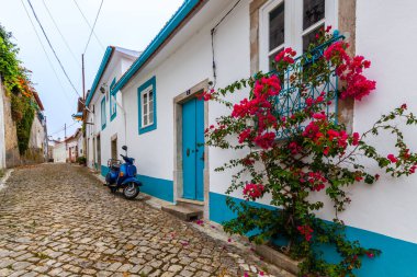 Dar bir kaldırım taşı caddesi, geleneksel taş evler ve yemyeşil ağaçlarla kaplı büyüleyici bir köyün içinden geçiyor.