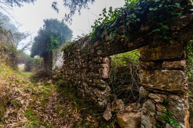 Yoğun, fazla gelişmiş bir ormanın içinden geçen gizemli bir yol, yosun kaplı taş yapılar ve biraz sis.