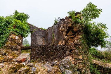 Sisli bir ormanda, sarmaşıklarla kaplanmış harabe bir taş bina.