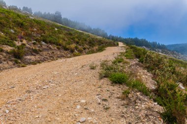 Sisli bir tepe boyunca uzanan dolambaçlı toprak bir yol.