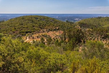Yuvarlanan tepeler, yemyeşil ormanlar ve açık mavi gökyüzü ile panoramik bir manzara.