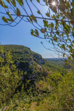 Yeşil yapraklardan oluşan bir çerçevede güneşli bir manzara kayan tepelerin, yemyeşil bitki örtüsünün ve açık mavi gökyüzünün manzarasını gözler önüne seriyor.