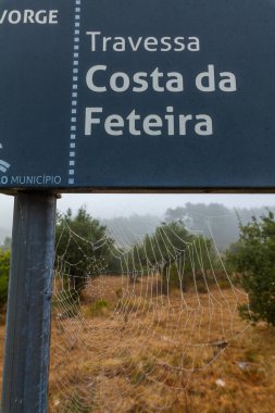 Çiğ bir örümcek ağı, bir sokak tabelasıyla çerçevelenmiş, sisli bir tarla boyunca uzanıyor.