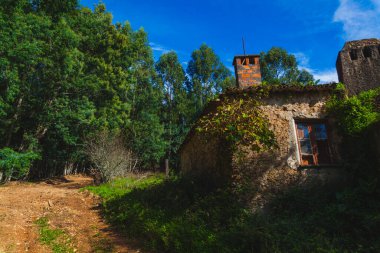Kırsal bir taş bina, muhtemelen bir kulübe ya da harabe, mavi gökyüzünün altında ağaçların ve yeşilliklerin arasında duruyor.