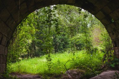 Sarmaşıklar ve sarmaşıklar sarkan eski bir köprünün taş kemeri tarafından çerçevelenmiş yemyeşil bir manzara, yoğun ormanın ötesine huzurlu bir manzara sunuyor.