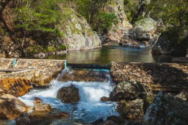 small waterfall cascading over a stone dam, nestled in a lush natural setting clipart