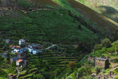 Yeşilliklerin arasına yerleşmiş geleneksel taş evleri olan Portekiz yamaç köyü