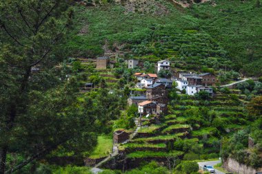 Yeşilliklerin arasına yerleşmiş geleneksel taş evleri olan Portekiz yamaç köyü