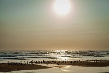 Sakin bir plajda gün batımı, güneşin okyanusta altın bir parıltı saçması ve kumları aydınlatması.