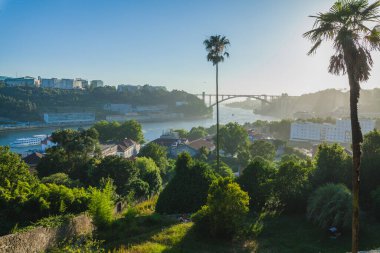 Bir tavus kuşunun yakın çekimi canlı kuyruk tüyleri çağlayan taştan bir çeşmenin üzerine dökülüyor.