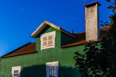 Kırsal, koyu yeşil bir ev, beyaz pencere çerçeveleri ve belirgin bir baca, koyu yeşil yapraklarla kısmen gizlenmiş, canlı mavi bir gökyüzüne karşı duruyor.