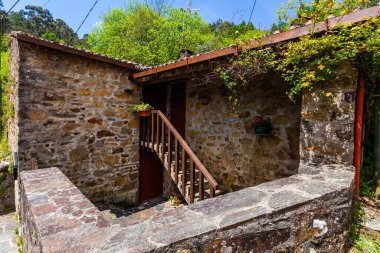 Kırsal girişi olan, çiçeklerle süslenmiş ve yemyeşil çiçeklerle çevrili büyüleyici bir taş ev.