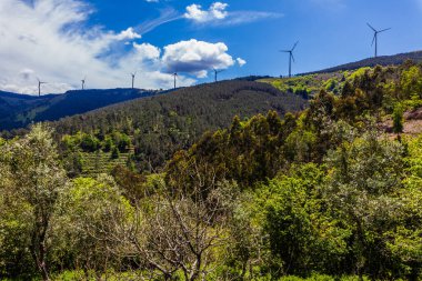 Bereketli bir orman yamacı, rüzgâr türbinleriyle benekli canlı mavi bir gökyüzü altında uzanıyor ve doğanın ortasında yenilenebilir enerji sergiliyor.
