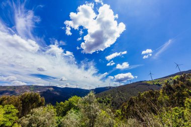 Bereketli bir orman yamacı, rüzgâr türbinleriyle benekli canlı mavi bir gökyüzü altında uzanıyor ve doğanın ortasında yenilenebilir enerji sergiliyor.
