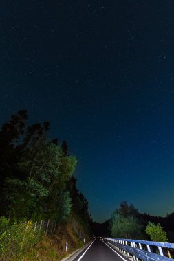 Yüksek ağaçlarla çevrili ve kayan yıldızlarla kaplı, sakin bir yolun üzerinde yıldızlı bir gece göğü.