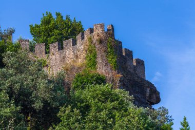 Yeşilliklerle kaplanmış tarihi bir kale duvarı, açık mavi gökyüzüne karşı dimdik ayakta duruyor, antik tarih ve doğal güzelliği çağrıştırıyor.
