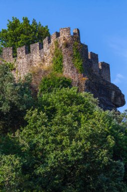 Yeşilliklerle kaplanmış tarihi bir kale duvarı, açık mavi gökyüzüne karşı dimdik ayakta duruyor, antik tarih ve doğal güzelliği çağrıştırıyor.