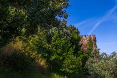 Ağaçlarla çevrili yoğun yeşillikten bir taş kule ortaya çıkar ve canlı mavi gökyüzüne karşı kurulur.
