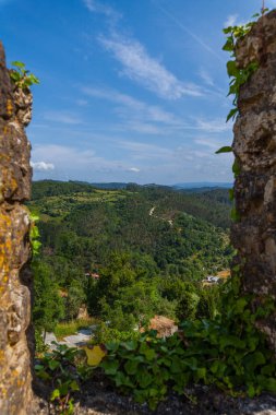 Bereketli bir vadi, taştan duvarlar ve aşırı büyümüş yeşilliklerle çevrili berrak mavi bir gökyüzünün altında.