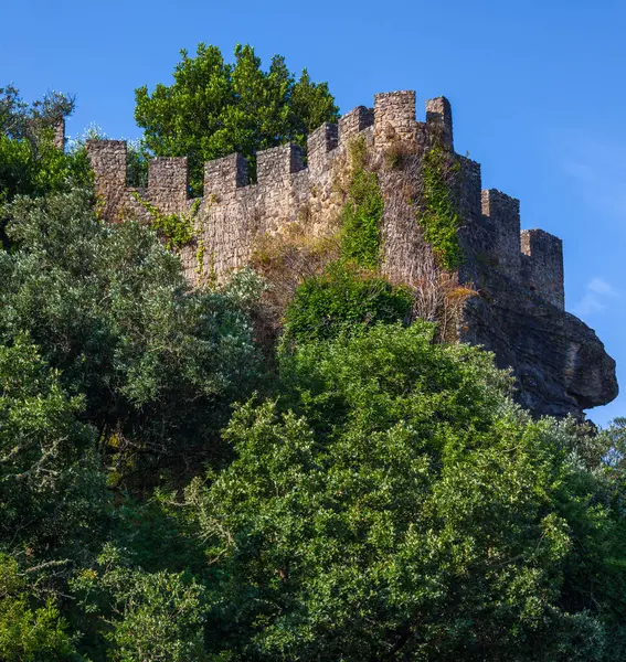 Yeşilliklerle kaplanmış tarihi bir kale duvarı, açık mavi gökyüzüne karşı dimdik ayakta duruyor, antik tarih ve doğal güzelliği çağrıştırıyor.