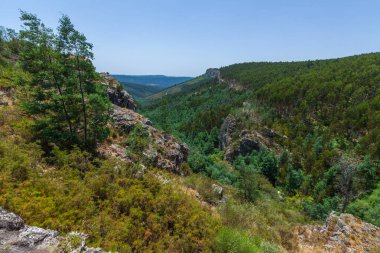 Engebeli bir manzaranın panoramik görüntüsü kayalık kayalıklar, yoğun ormanlar ve açık mavi gökyüzünün altındaki yuvarlanan tepeler.