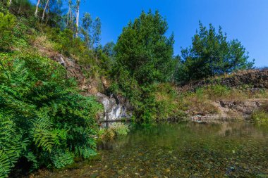 Sakin bir orman manzarası, kayalık arazi ve yemyeşil tarafından çerçevelenmiş, etrafındaki ağaçları ve gökyüzünü yansıtan sakin bir gölet içerir.