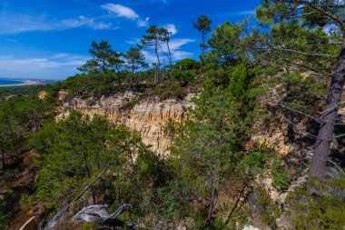 Parlak mavi gökyüzünün altında yemyeşil bitki örtüsü ve çam ağaçlarıyla kaplı engebeli kumlu kayalık bir yüzün geniş açılı canlı bir görüntüsü.