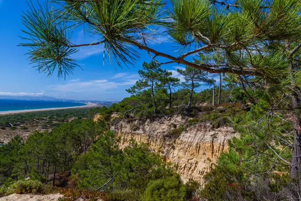 Geniş açılı engebeli bir sahil kayalığının yeşil bitki örtüsü ve uzun kumlu bir sahil manzarası parçalı bulutlu bir gökyüzünün altında durgun mavi bir okyanusa götürür.